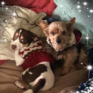 Meet your Posher, Selina